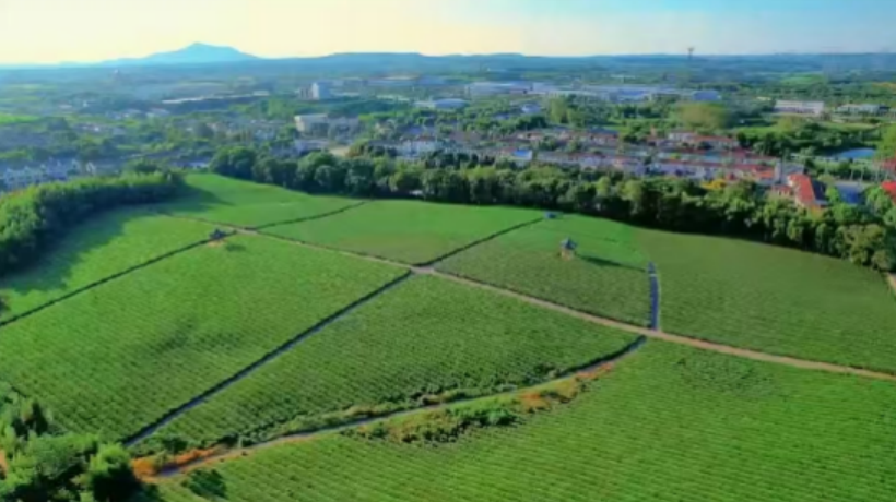 1735092065351.png 1735092065351.png